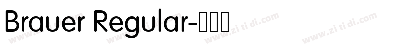 Brauer Regular字体转换
